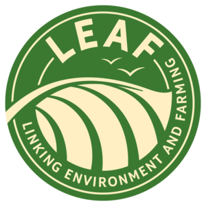 leaf-logo